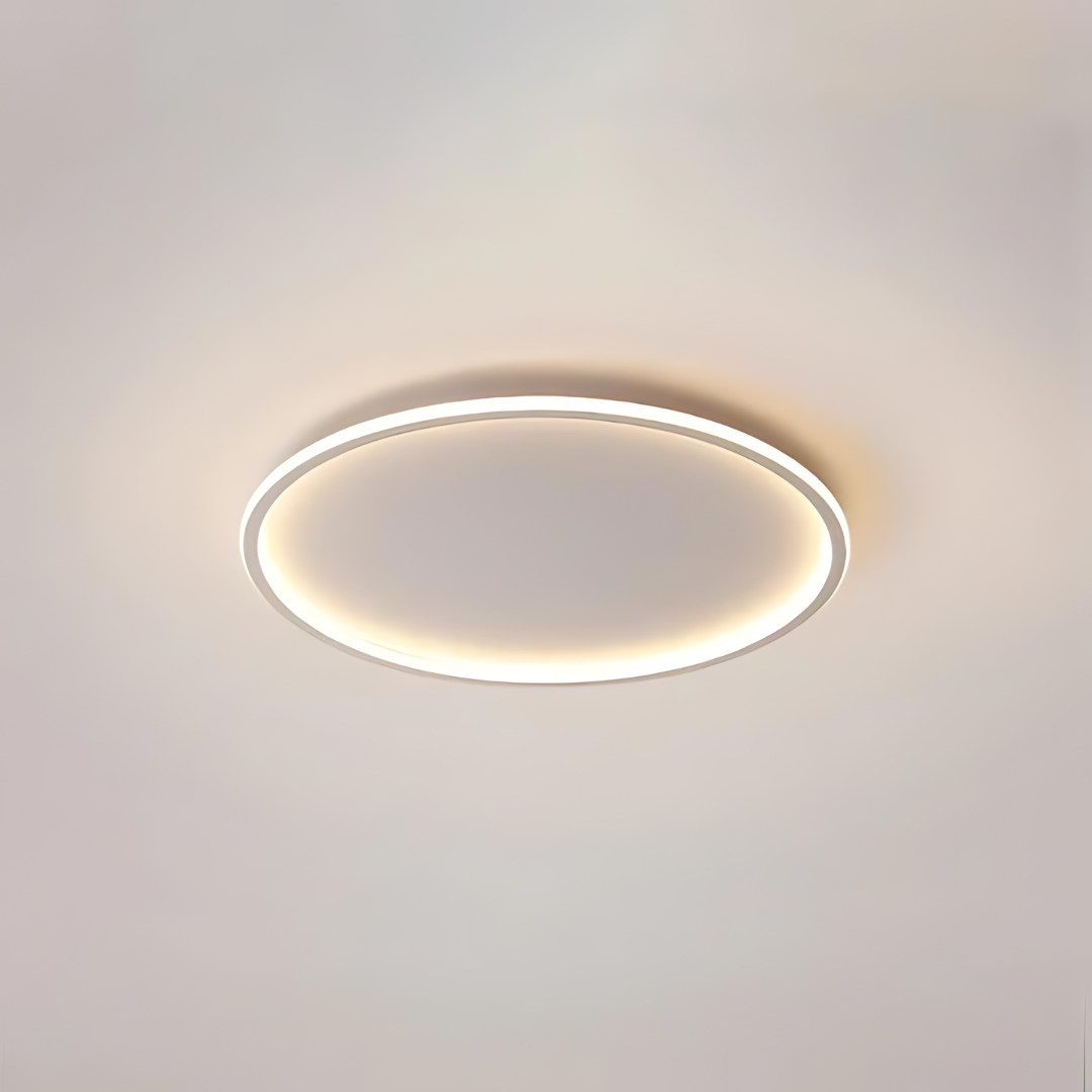 Moderne Ronde LED Plafondlamp van Metaal en Acryl voor Woonkamer